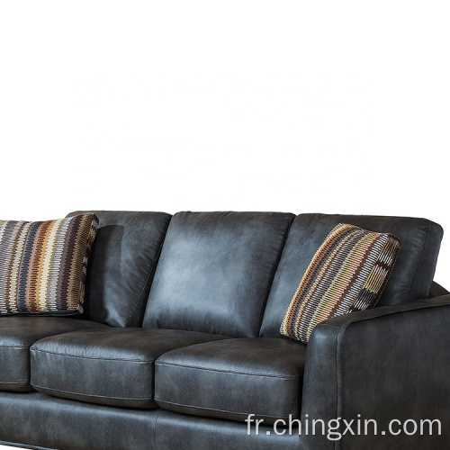 Le canapé sectionnel définit des meubles de canapé de salon à trois places
